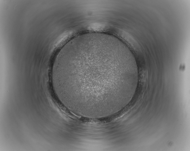 X0000091950738200709131204