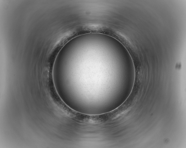 X0000091950739200709131204