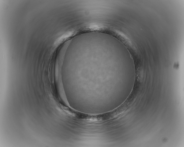 X0000091950740200709131204