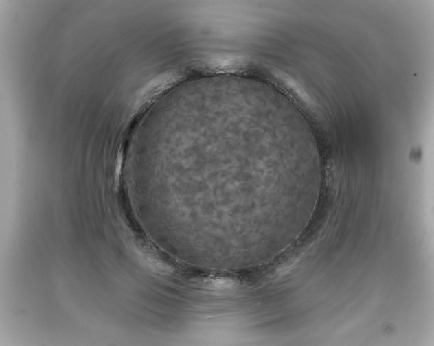 X0000091950741200709131204