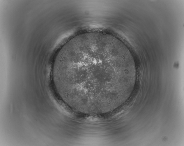 X0000091950742200709131204