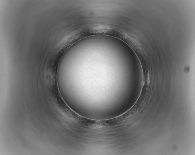 X0000091950743200709131204