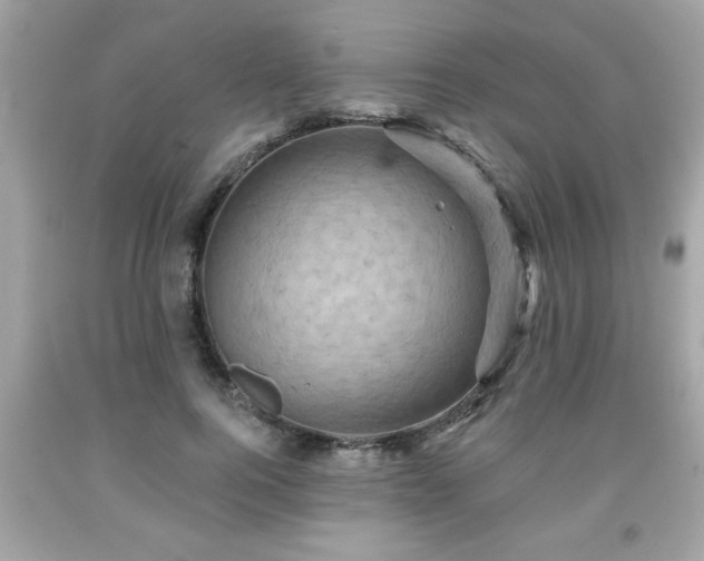 X0000091950744200709131204