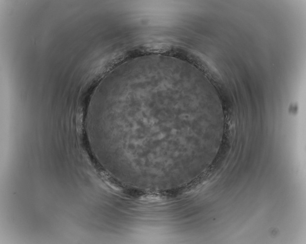 X0000091950745200709131204