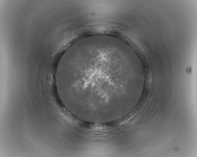 X0000091950746200709131204