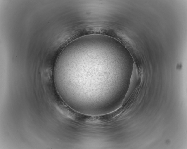 X0000091950747200709131204