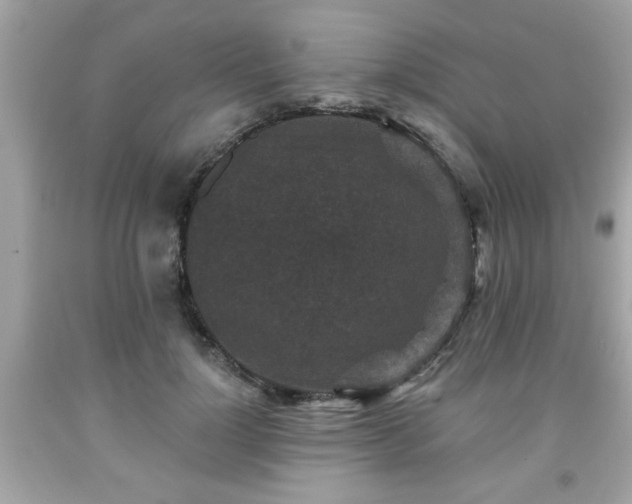 X0000091950748200709131204