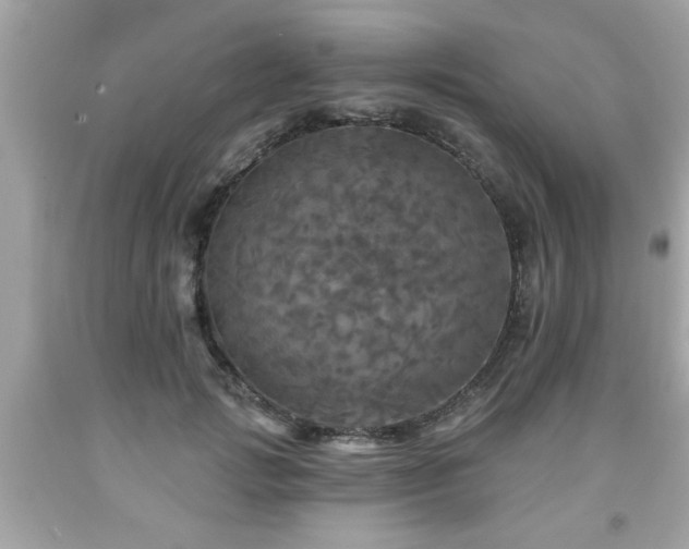 X0000091950749200709131204