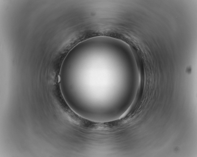X0000091950750200709131204