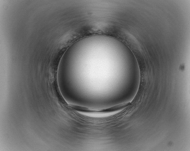 X0000091950751200709131204
