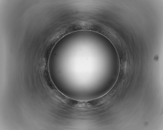 X0000091950752200709131204