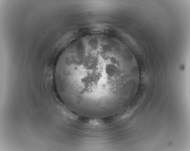 X0000091950753200709131204