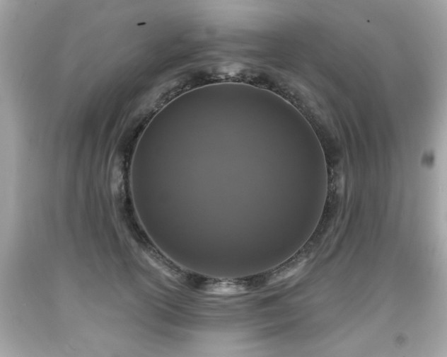 X0000091950754200709131204