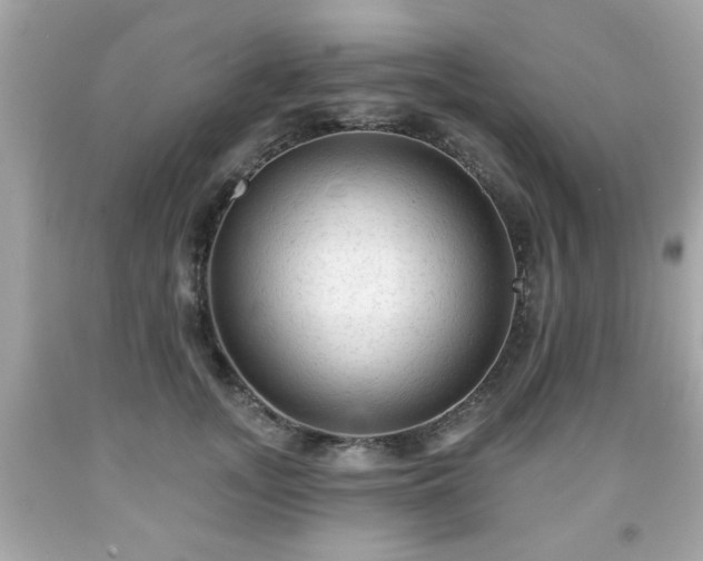 X0000091950755200709131204