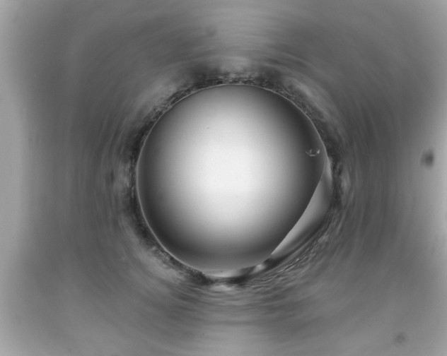 X0000091950756200709131204