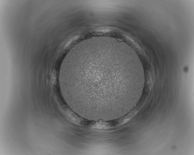 X0000091950758200709131204
