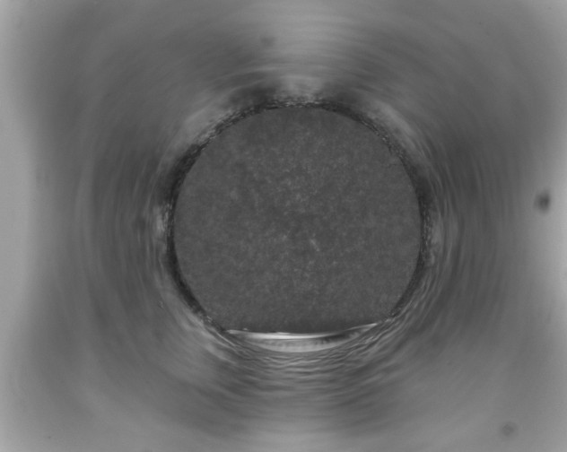 X0000091950759200709131204
