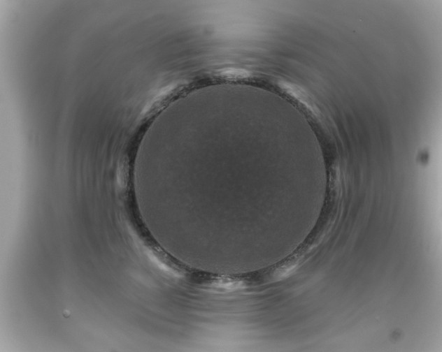 X0000091950760200709131204