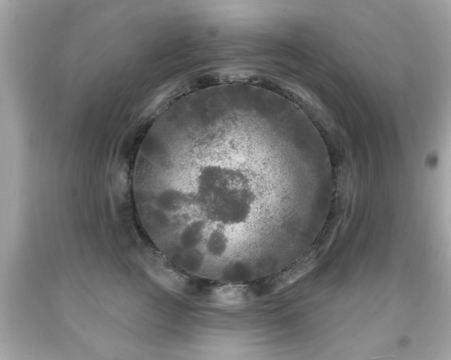 X0000091950761200709131204