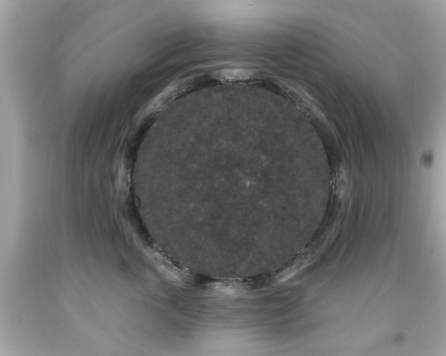 X0000091950763200709131204
