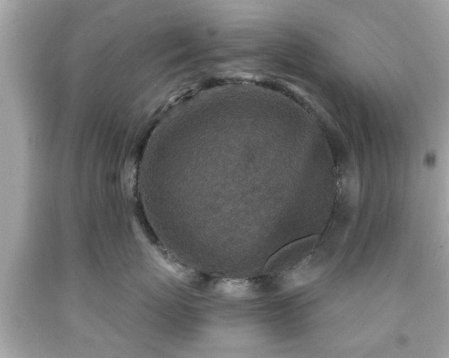 X0000091950767200709131204
