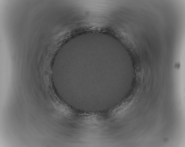 X0000091950769200709131203
