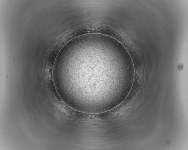 X0000091950770200709131203