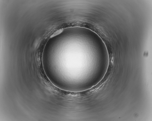 X0000091950771200709131203