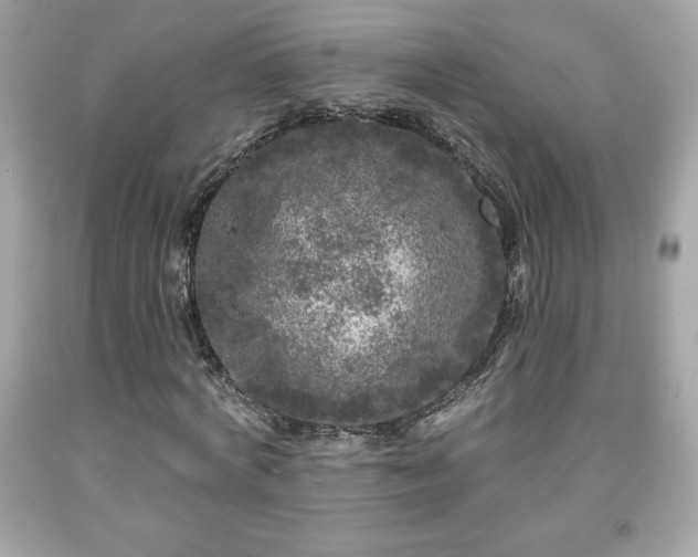 X0000091950772200709131203