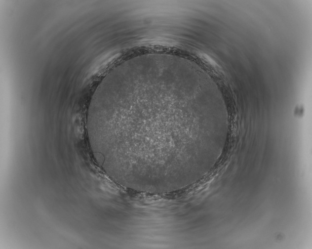 X0000091950774200709131203