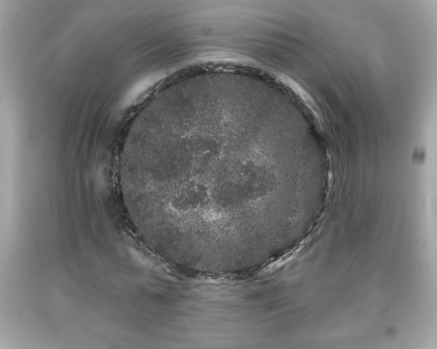 X0000091950775200709131203