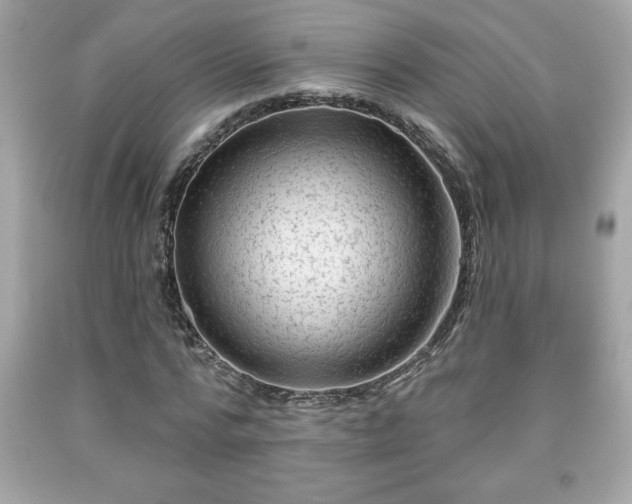 X0000091950776200709131203