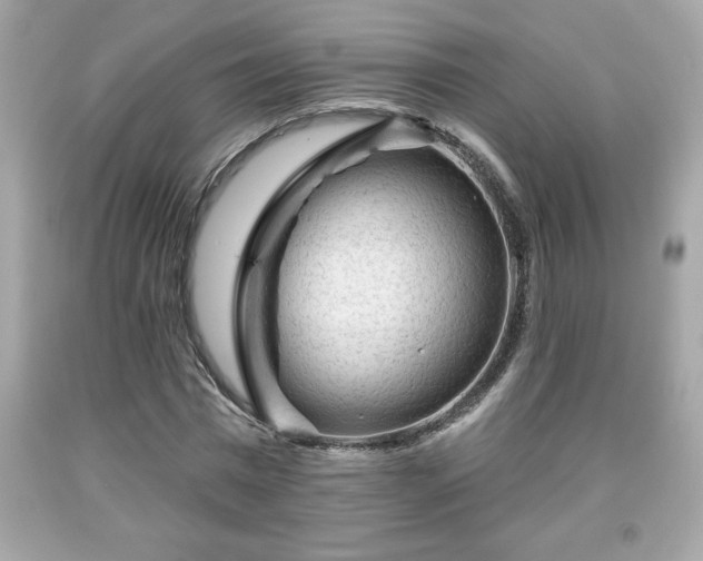 X0000091950777200709131203