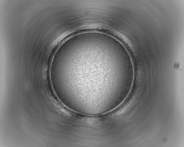 X0000091950778200709131203
