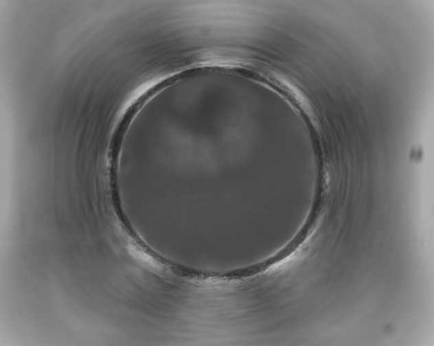 X0000091950779200709131203
