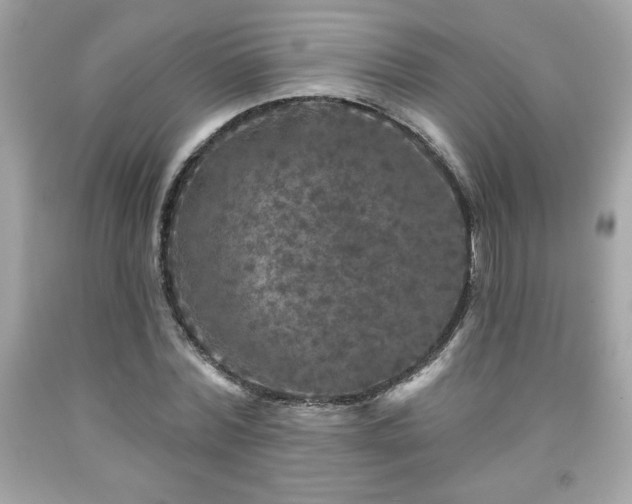 X0000091950780200709131203