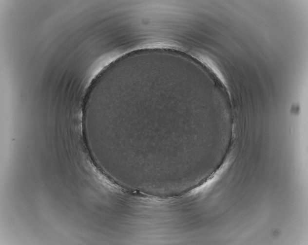X0000091950781200709131203