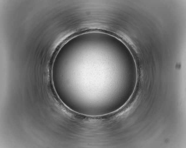 X0000091950782200709131203