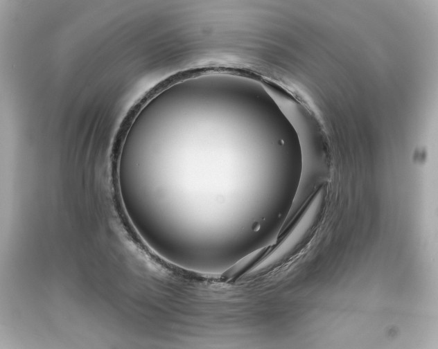 X0000091950784200709131203
