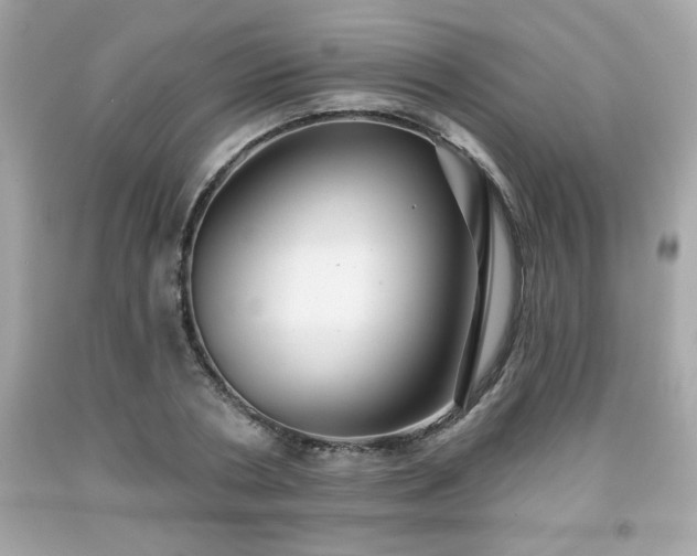 X0000091950786200709131203