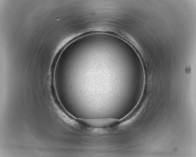 X0000091950787200709131203