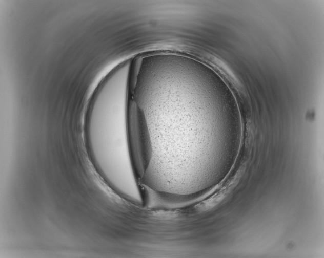 X0000091950788200709131203
