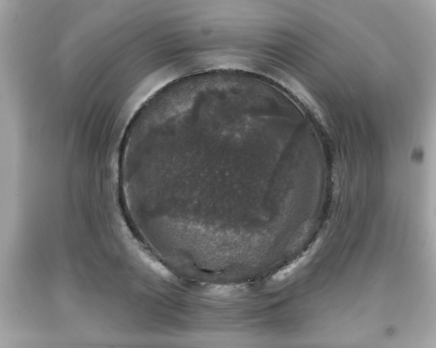 X0000091950790200709131203