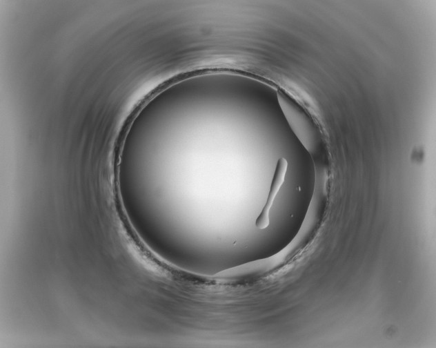 X0000091950792200709131203