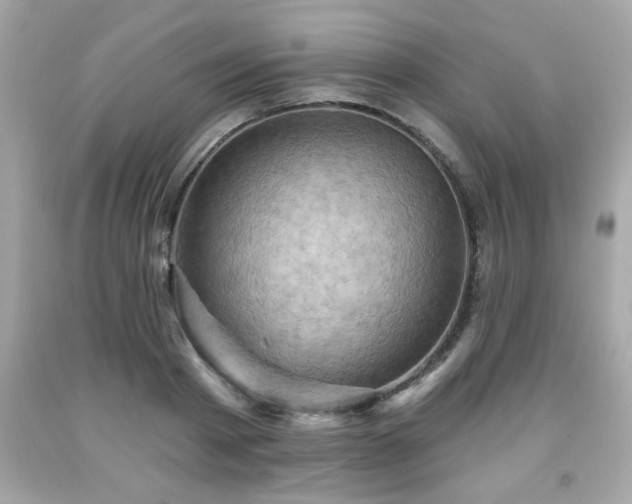 X0000091950793200709131203