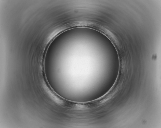 X0000091950794200709131203
