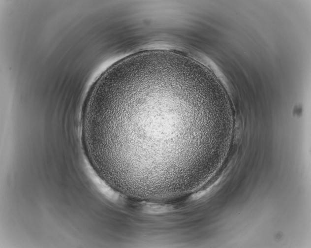 X0000091950795200709131203