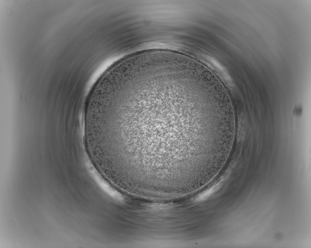X0000091950796200709131203