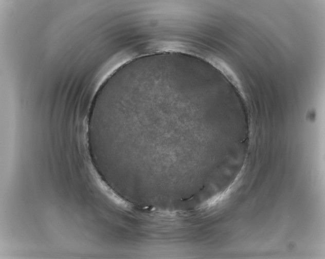 X0000091950798200709131203