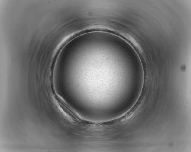 X0000091950799200709131203